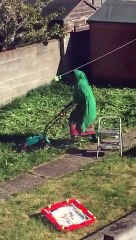 Elle veut tondre la pelouse mais oublie un détail important. Hallucinant !