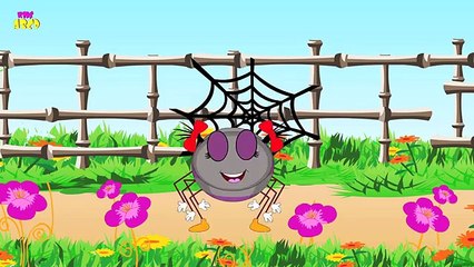 Nursery Rhymes Collection - Wheels On The Bus | Five Little Monkeys | Finger Family