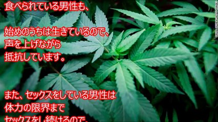 【閲覧注意】恐怖！マフィアの衝撃の快 処刑がスゴすぎる！よく見るととんでもない快〇処刑【衝撃】
