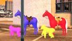 Horse Colours Songs Collection | Colourful Color Horse Cartoons | 3D Colors Horse Rhymes F