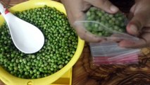 How To Store Green Peas for 1 year | Preservation Of Green Peas Easily At Home | Kitchen Tips
