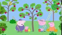 Peppa Pig English Episodes Compilation # 261 Peppa Pig English Episodes full New Episodes