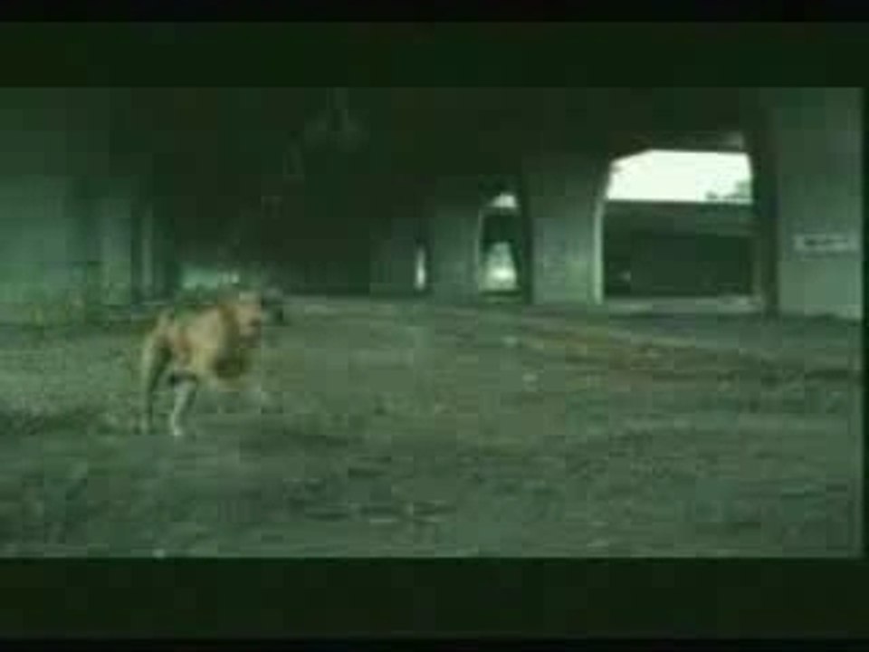 Suicide-chien1