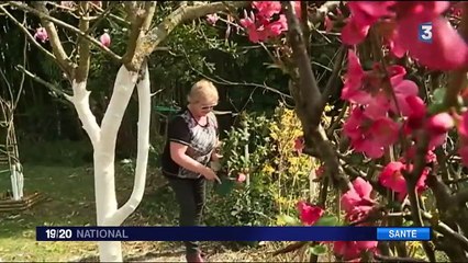 Allergies aux pollens : la désensibilisation, une nouvelle méthode