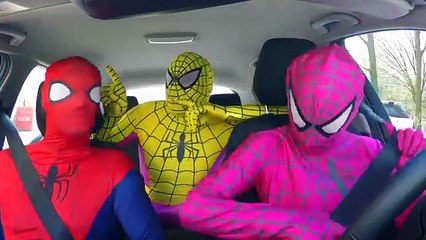 Tải video: Pregnant PINK SPIDERGIRL Spiderbaby! vs Spiderman Baby Spidey & Frozen Elsa Funny Superher