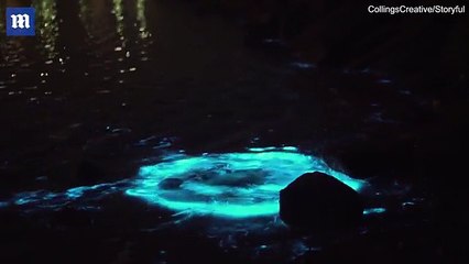 Fenomeni i rrallë i këtij deti po mahnit të gjithë