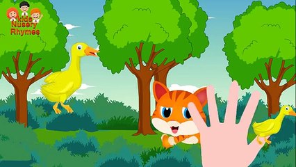 Duck Finger Family | Cat Finger Family | Dog Finger Family and More
