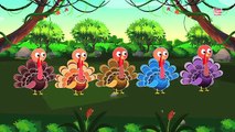 Five Little Turkeys | Thanks Giving Song