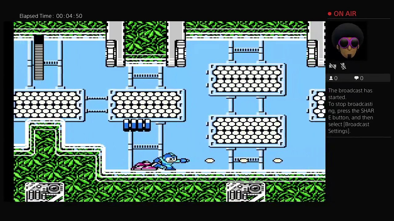 Megaman Pteshmate22 (5)