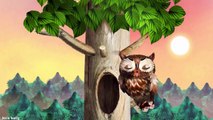 Baby Learn Forest Animals - Pepi Tree by Pepi Play Educational Kids Games