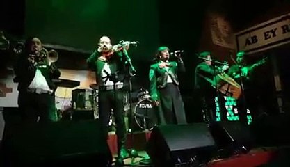 Contrata Mariachis Económicos Guadalajara T. 331 4043 204