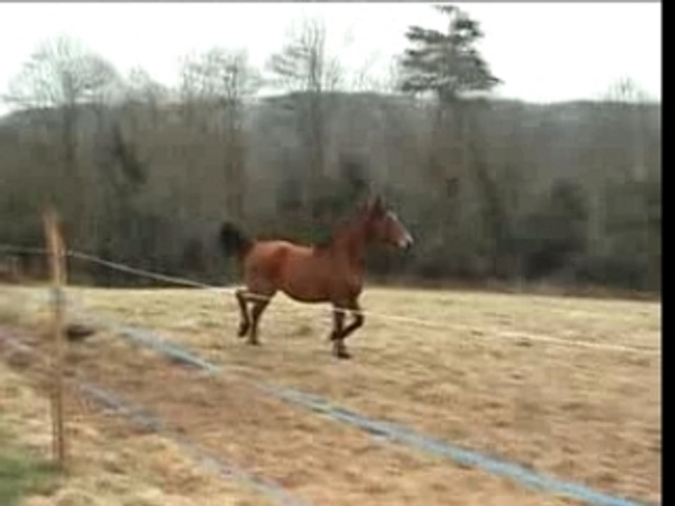 Gary et Toast, les retrouvailles (3)