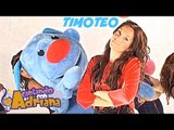 TIMOTEO - Cantando con Adriana - canciones infantiles