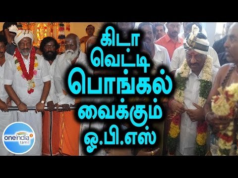 O.Pannerselvam Went to Srivilliputhur Temple - Oneindia Tamil