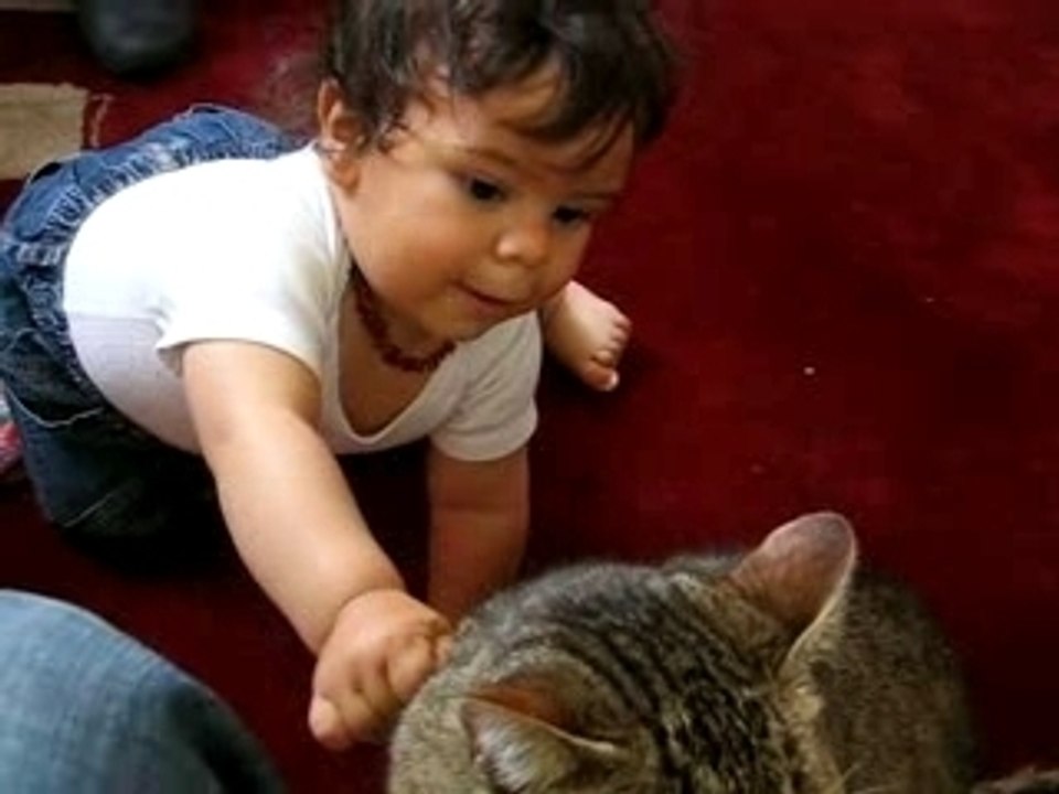 chat