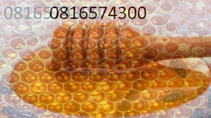 0816574300 Jual Madu Anak Pegunungan Arfak