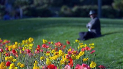 O Mistério dos Nefilins  Os Gigantes da antiguidade 1  parte
