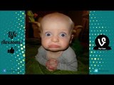 Try Not To Laugh or Grin - Funny Kids Fails Compilation 2016 Part 4 by Life Awesome