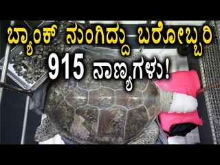 Bank Named Turtle Had 925 Coins In Its Stomach  | Oneindia Kannada