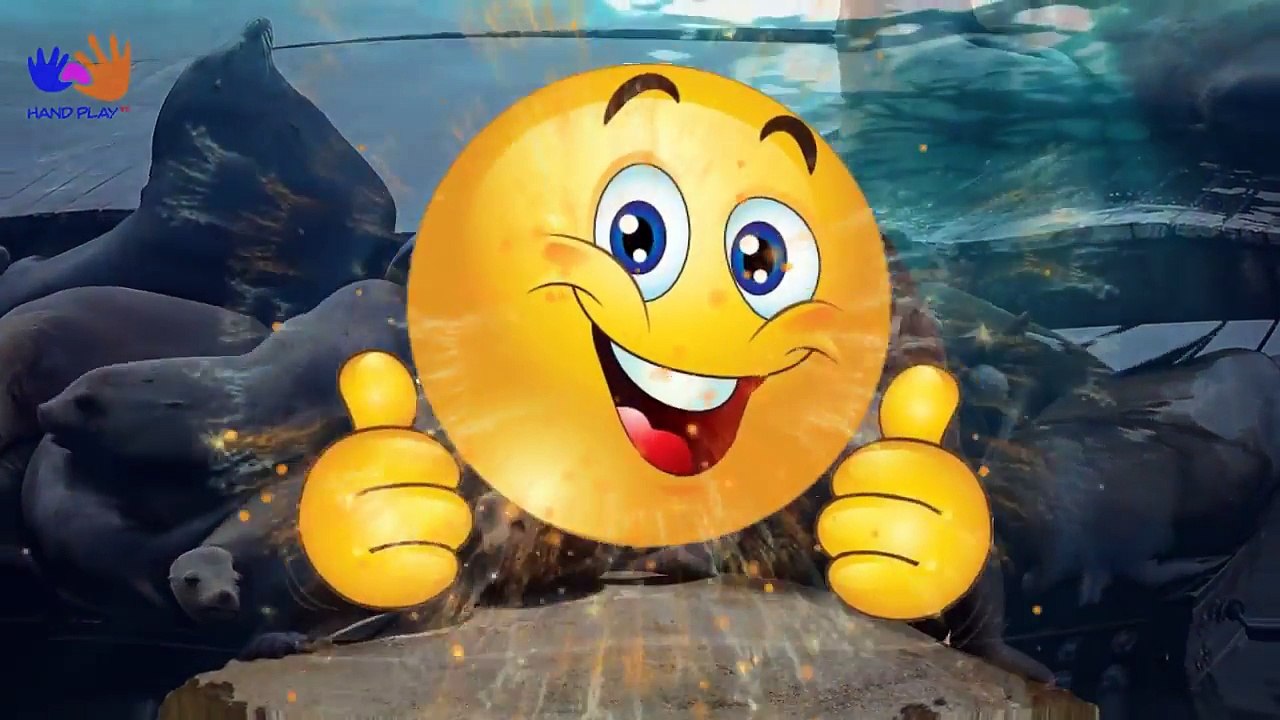 Learn Sea Animals NEW | Disney Pixar Finding Dory, Nemo Cartoon For Kids - HandPlayTV for