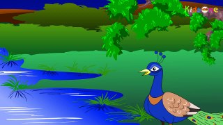 Peacock - Telugu Animated Story - Animation Stories for Kids