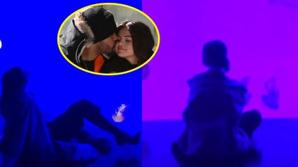 Selena Gomez and The Weeknd Go on Romantic Aquarium Date in Toronto