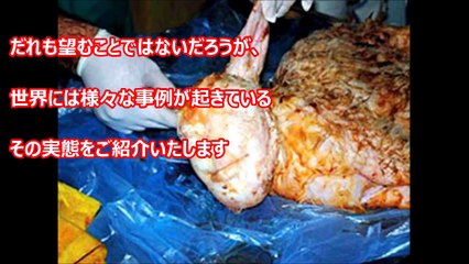 【閲覧注意】人間とヤギのハーフ・・・？ジンバブエでもヤギから人間のような生物が・・・【驚愕】【衝撃】