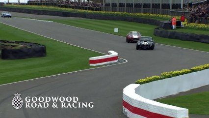 AC  Cobra slithers sideways in Venomous 75MM Battle