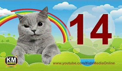 Count 1 to 20 Learning For Toddlers and Preschool Children