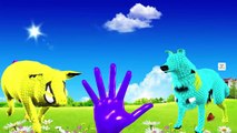 Balloons Colourful Colours Five Little Monkeys | Animated Children injection Finger Family