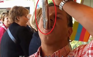 Eat Salted herring - fresh herring - Netherlands street food