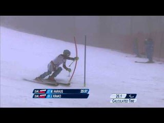Jakub Krako (1st run) | Men's super combined visually impaired | Alpine skiing | Sochi 2014