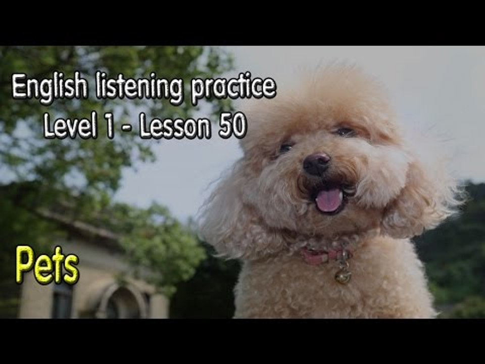 How to improve EnglishListening English for beginner learnerslesson 50Pets