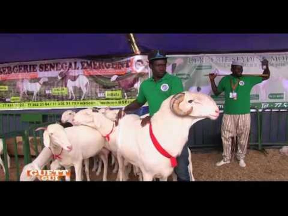 GUETT GUi  DIM 26 JUIN 2016