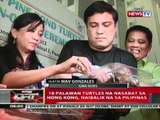 QRT: 18 Palawan turtles na nasabat sa Hong   Kong, naibalik na sa Pilipinas