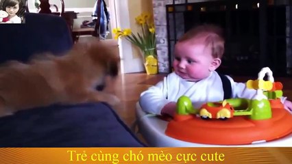 adorables perros jugando con bebes parte 2