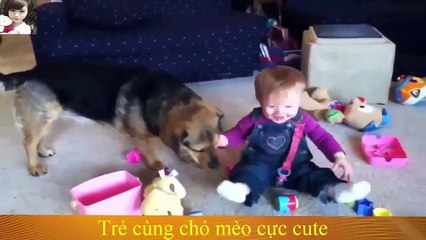 adorables perros jugando con bebes parte 3