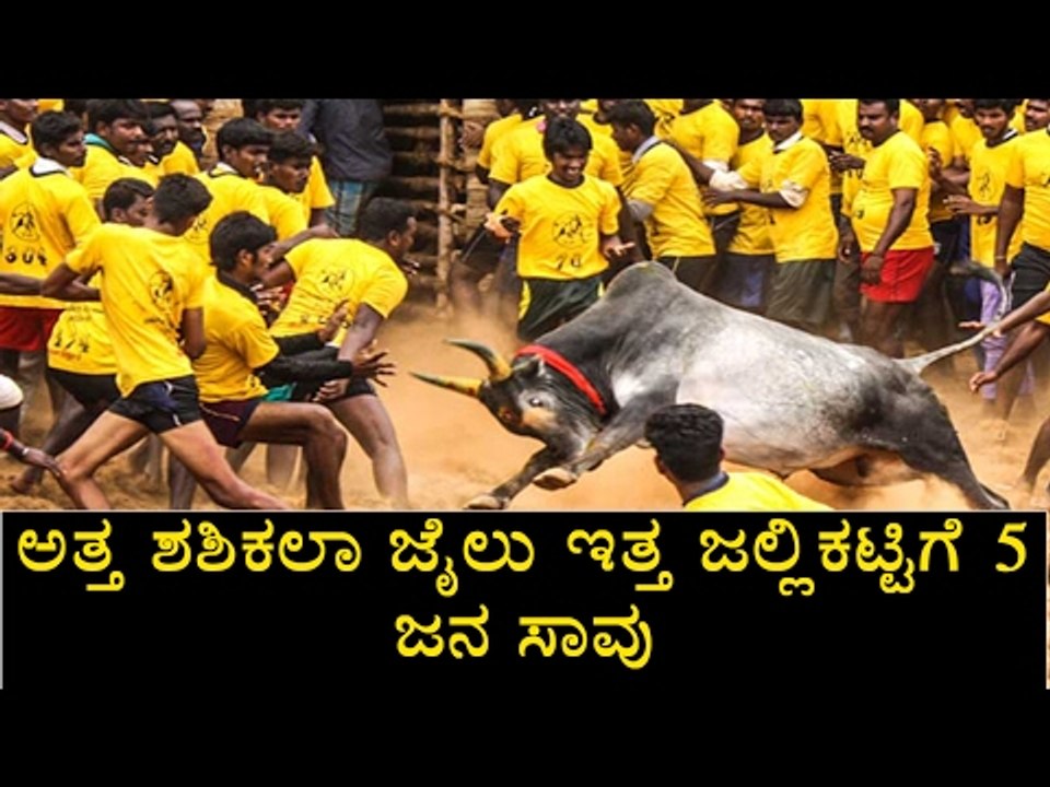 Five Lives Lost  In Tamil Nadu For Jallikattu | Oneindia Kannada