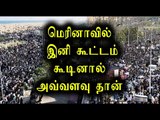 Jallikattu, Ban on protests in chennai marina beach- Oneindia Tamil