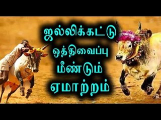 Alanganallur, Palamedu jallikattu contest Date postponed- Oneindia Tamil