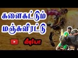 சிவகங்கையில் களைகட்டும் மஞ்சுவிரட்டு | People conducting manju virattu in sivagangai- Oneindia Tamil