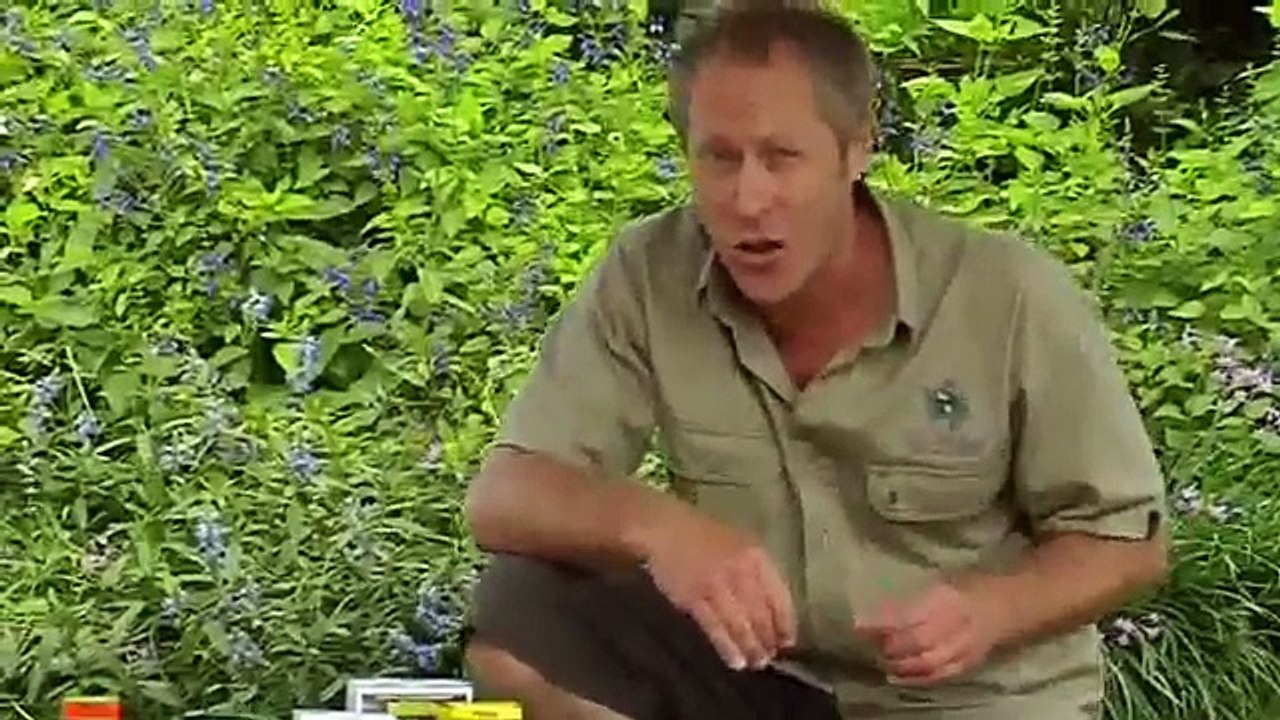 Lawn Care Products Sunshine Coast and Brisbane