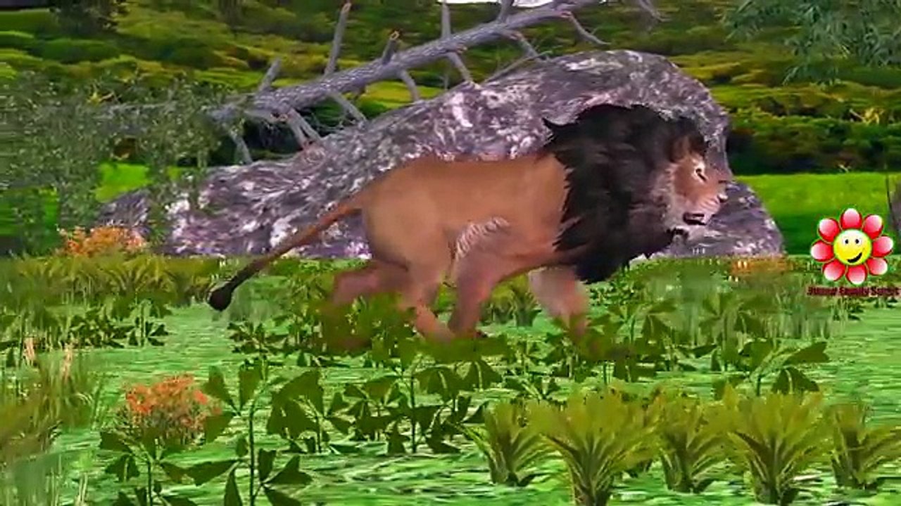 Lion Rare Unbelievable Fights | Lion Attacks Tiger Rhino Cheetah Elephant | Amazing Animals Fight