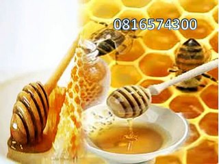 0816574300 (Indosat ) Distributor Madu Anak Murah Aceh Selatan