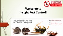 Insight Pest Control - Pest Control Services in Sydney