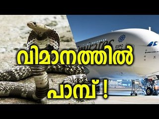 യാത്ര റദ്ദാക്കി  Emirates Flight Cancelled After Snake Found on Board - Oneindia Malayalam