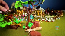 Playmobil Wild Animals Toy Collection For Kids - Animals For Children-