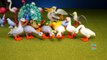 Playmobil Wild Animaals Toy Collection For Kids - Animals For Children-O