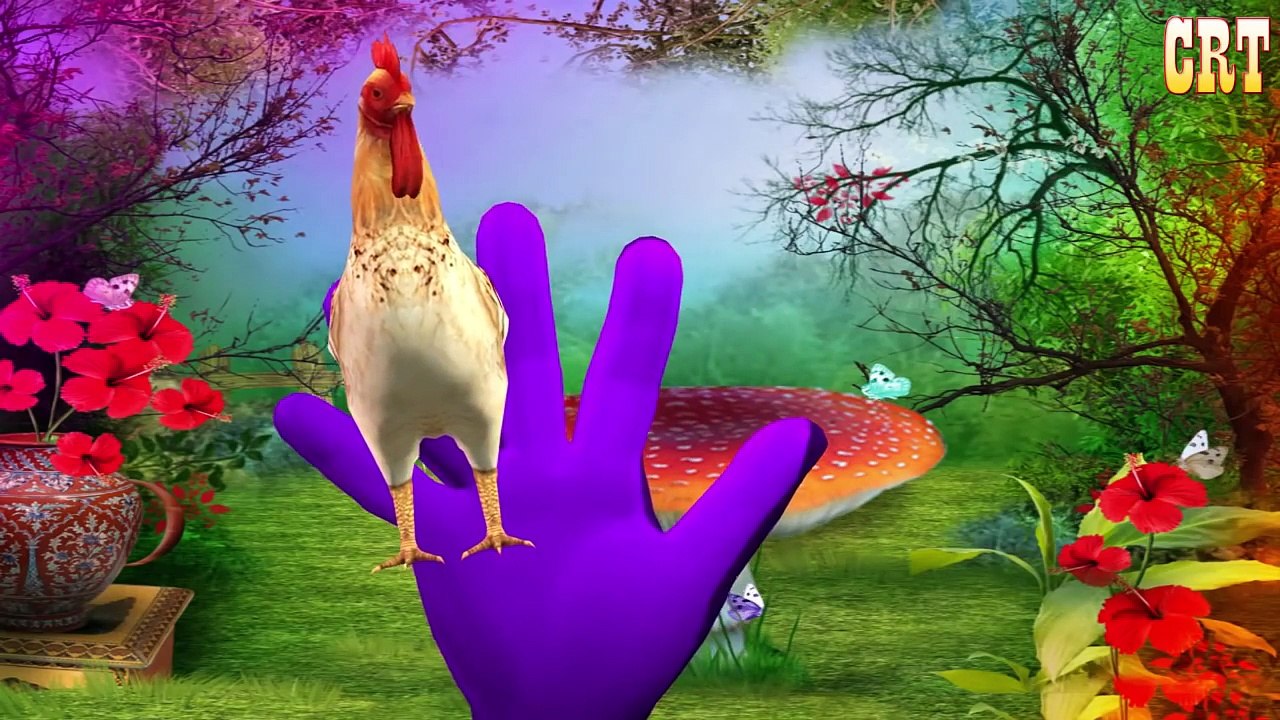 Finger Family For Children Pegasus Flying Horse Cartoons || Finger Family Nursery Rhymes F