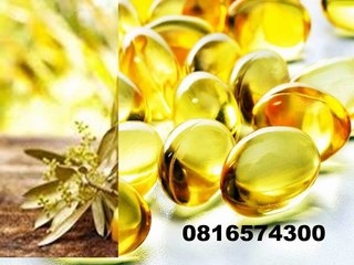 081-657-4300 (Indosat) Jual Minyak Zaitun Halmahera Utara